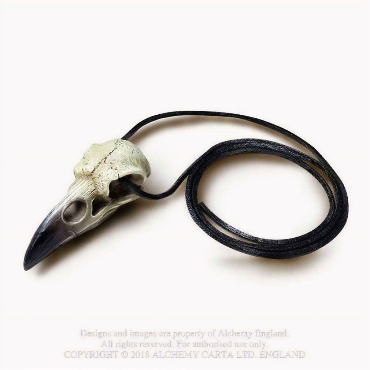 Reliquary Raven Skull