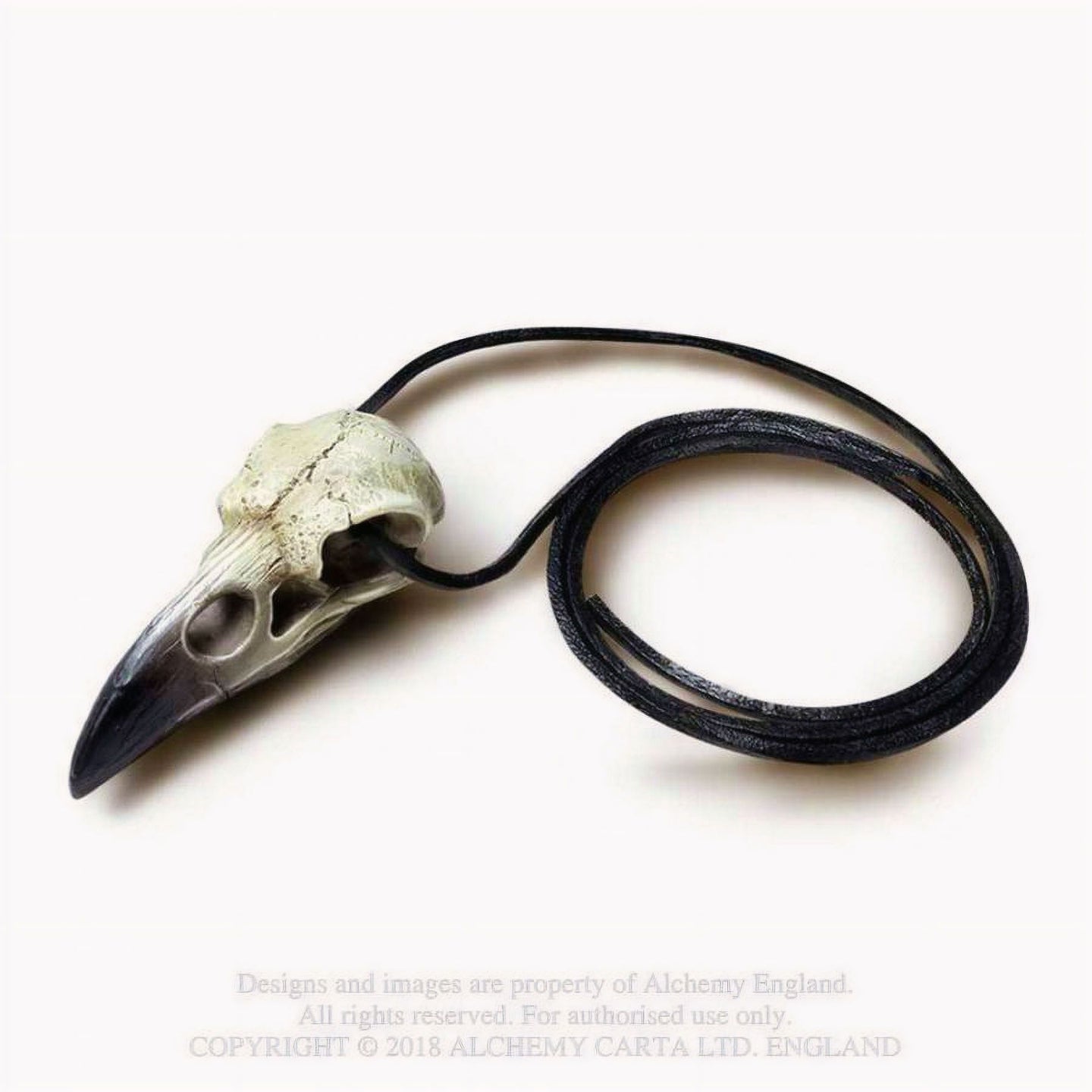 Reliquary Raven Skull