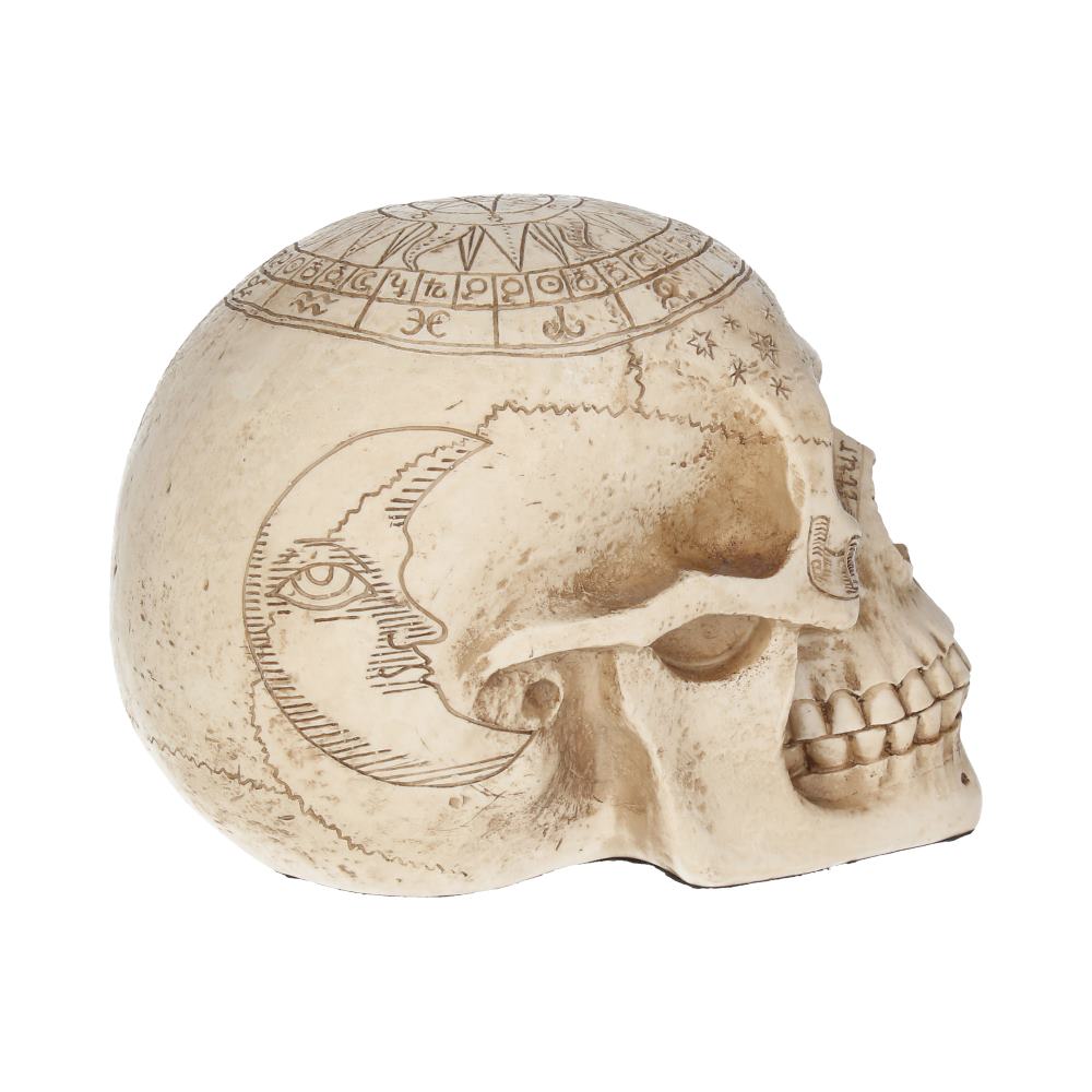 Astrological Skull 20 cm
