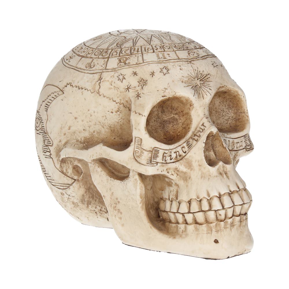 Astrological Skull 20 cm