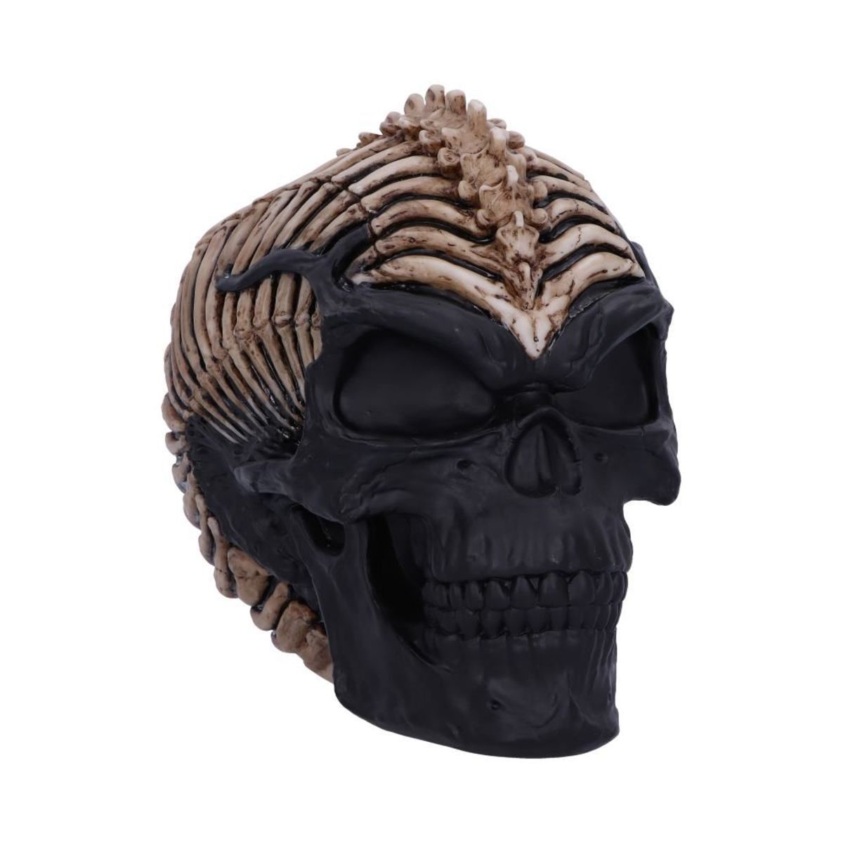 Spine Head Skull 18,5 cm
