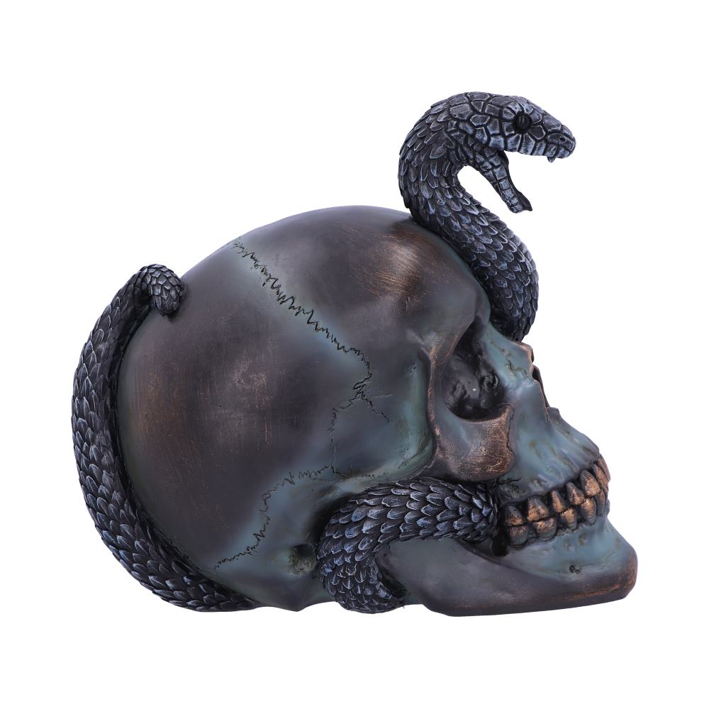 Serpentine Faith Skull 19 cm
